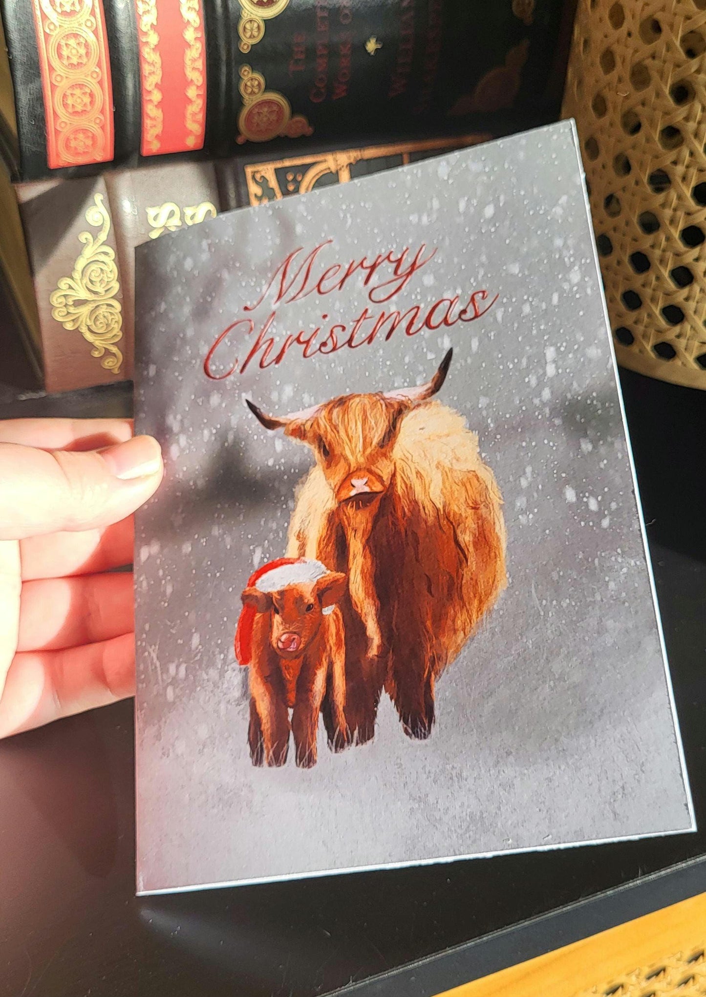 Highland Cows Christmas Card