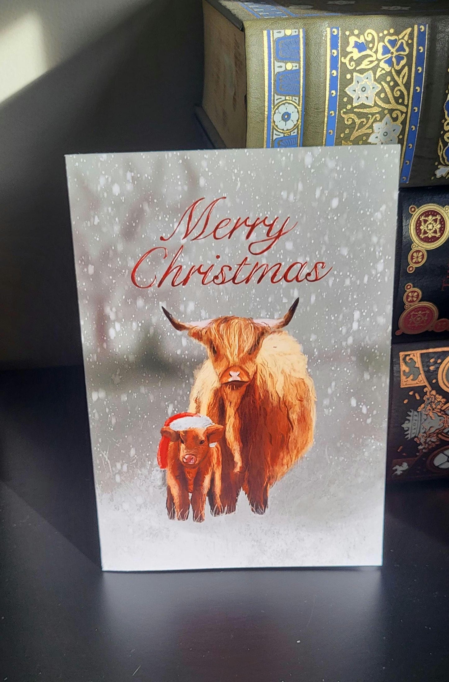 Highland Cows Christmas Card