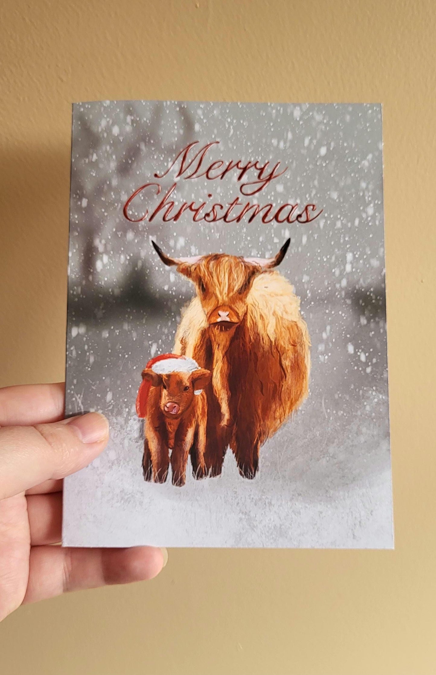Highland Cows Christmas Card