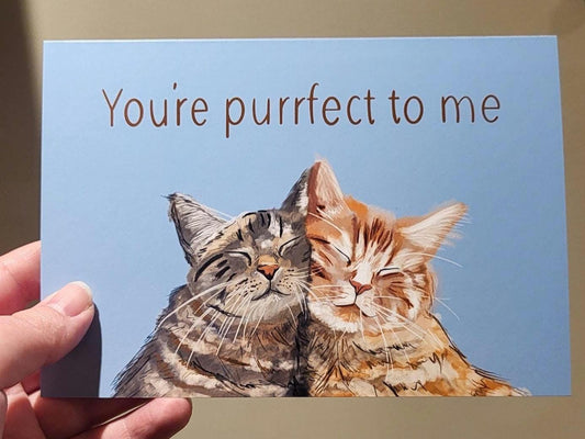 Purrfect pair of kittens 'You're purrfect to me' card - anniversary/birthday/greeting card